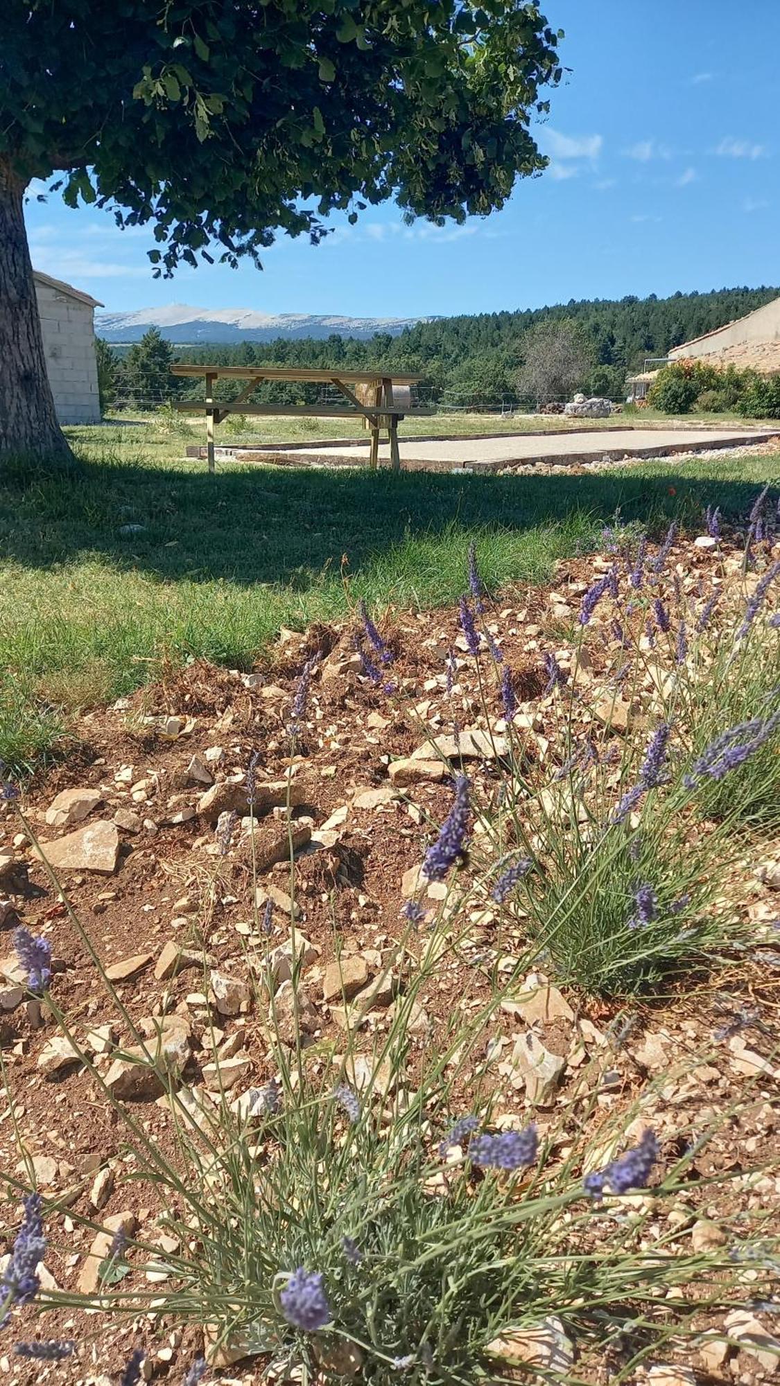 A Ventoux Yourte Monieux Экстерьер фото